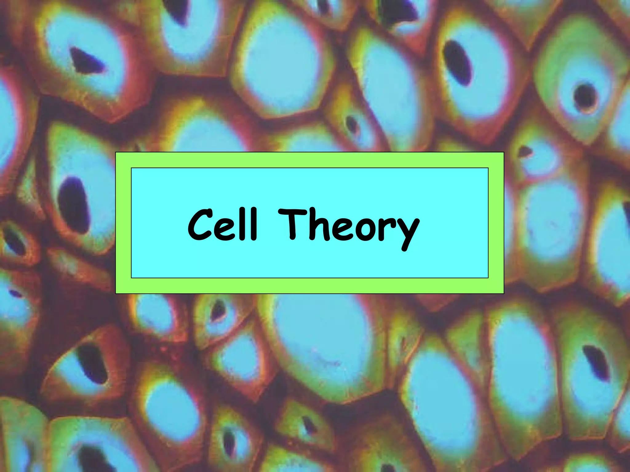 Cell Theory   
