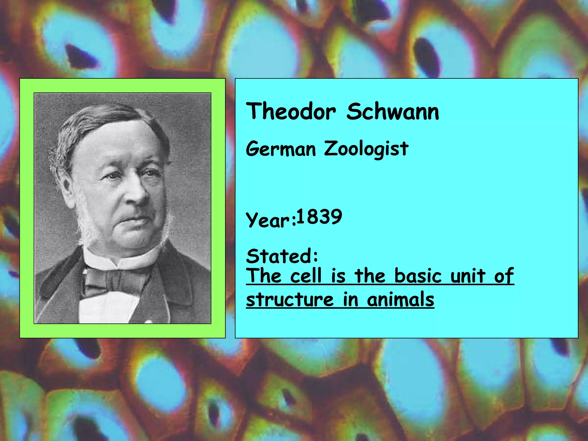Theodor Schwann German Year: Stated:  Zoologist 1839 The cell is the basic unit of structure in animals 