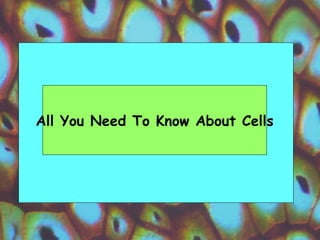 All You Need To Know About Cells 