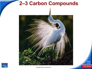 2–3 Carbon Compounds Copyright Pearson Prentice Hall 