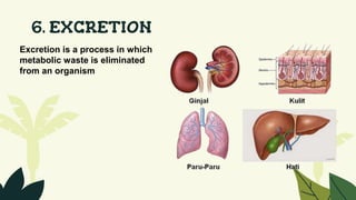 6. EXCRETION
Excretion is a process in which
metabolic waste is eliminated
from an organism
 