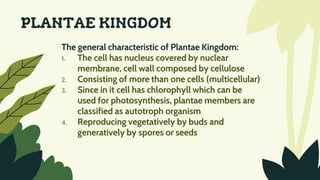 PLANTAE KINGDOM
The general characteristic of Plantae Kingdom:
1. The cell has nucleus covered by nuclear
membrane, cell wall composed by cellulose
2. Consisting of more than one cells (multicellular)
3. Since in it cell has chlorophyll which can be
used for photosynthesis, plantae members are
classified as autotroph organism
4. Reproducing vegetatively by buds and
generatively by spores or seeds
 
