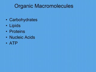 Organic Macromolecules Carbohydrates Lipids Proteins Nucleic Acids ATP 