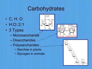 Carbohydrates C, H, O H:O::2:1 3 Types Monosaccharide Disaccharides Polysaccharides Starches in plants Glycogen in animals 
