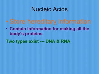 Nucleic Acids Store hereditary information Contain information for making all the body’s proteins Two types exist --- DNA & RNA 