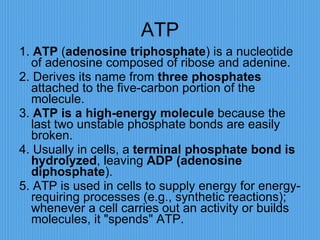 ATP 1.  ATP  ( adenosine triphosphate ) is a nucleotide of adenosine composed of ribose and adenine.  2. Derives its name from  three phosphates  attached to the five-carbon portion of the molecule.  3.  ATP is a high-energy molecule  because the last two unstable phosphate bonds are easily broken.  4. Usually in cells, a  terminal phosphate bond is hydrolyzed , leaving  ADP (adenosine diphosphate ).  5. ATP is used in cells to supply energy for energy-requiring processes (e.g., synthetic reactions); whenever a cell carries out an activity or builds molecules, it "spends" ATP.    