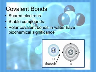 Covalent Bonds Shared electrons Stable compounds Polar covalent bonds in water have biochemical significance 