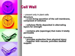 Cell Wall –  present only in plant cells Structure      - a non-living secretion of the cell membrane, composed of   cellulose       - cellulose fibrils deposited in alternating layers for strength       - contains pits (openings) that make it totally permeable   Function      - provides protection from physical injury      - together with vacuole, provides skeletal support   