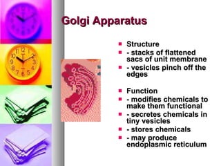Golgi Apparatus   Structure  - stacks of flattened sacs of unit membrane  - vesicles pinch off the edges   Function  - modifies chemicals to make them functional   - secretes chemicals in tiny vesicles   - stores chemicals   - may produce endoplasmic reticulum   