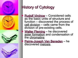 Rudolf Virchow  – Considered cells as the basic units of structure and function – discovered the process of  cell division  – cells came from the division of pre-existing cells. Walter Fleming  – he discovered  aster formation  and condensation of the  chromatins Peirre-Joseph Van Beneden  – he discovered  meiosis . History of Cytology 