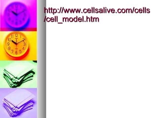http://www.cellsalive.com/cells/cell_model.htm 