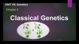 Chapter 2
Classical Genetics
UNIT VII: Genetics
 