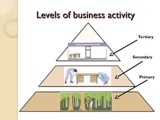 Comprehensive Overview of Business Classification and Economic Sectors ...