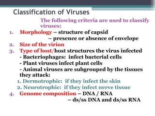 Classification of Viruses
               The following criteria are used to classify
               viruses:
1.    Morphology – structure of capsid
                  – presence or absence of envelope
2.    Size of the virion
3.    Type of host/host structures the virus infected
      - Bacteriophages: infect bacterial cells
      - Plant viruses infect plant cells
      - Animal viruses are subgrouped by the tissues
      they attack:
     1. Dermotrophic: if they infect the skin
     2. Neurotrophic: if they infect nerve tissue
4.    Genome composition – DNA / RNA
                         – ds/ss DNA and ds/ss RNA
 