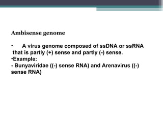 Ambisense genome

•    A virus genome composed of ssDNA or ssRNA
 that is partly (+) sense and partly (-) sense.
•Example:
- Bunyaviridae ((-) sense RNA) and Arenavirus ((-)
sense RNA)
 