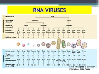 RNA VIRUSES




              From Principles of Virology
              Flint et al., ASM Press
 