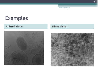 7

                    MIC208 - VIROLOGY




Examples
Animal virus   Plant virus
 