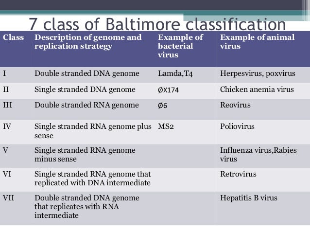 Chapter 2 Classification Of Virus