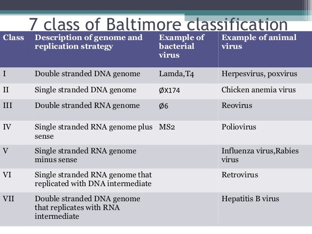 Chapter 2 Classification Of Virus Chapter 2 Classification Of Virus