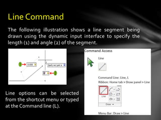 The following illustration shows a line segment being
drawn using the dynamic input interface to specify the
length (1) and angle (2) of the segment.
Line Command
Line options can be selected
from the shortcut menu or typed
at the Command line (L).
 