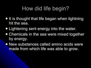 How did life begin? It is thought that life began when lightning hit the sea.  Lightening sent energy into the water. Chemicals in the sea were mixed together by energy. New substances called amino acids were made from which life was able to grow. 