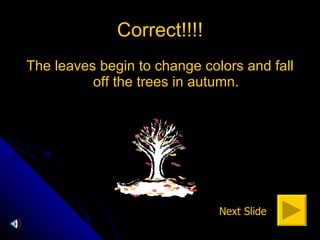 Correct!!!! The leaves begin to change colors and fall off the trees in autumn. Next Slide 