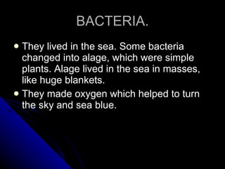 BACTERIA. They lived in the sea. Some bacteria changed into alage, which were simple plants. Alage lived in the sea in masses, like huge blankets. They made oxygen which helped to turn the sky and sea blue. 