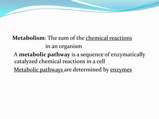 Metabolism: The sum of the chemical reactions
            in an organism
A metabolic pathway is a sequence of enzymatically
catalyzed chemical reactions in a cell
Metabolic pathways are determined by enzymes
 