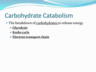 Carbohydrate Catabolism
 The breakdown of carbohydrates to release energy
    Glycolysis
    Krebs cycle
    Electron transport chain
 