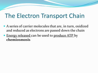 The Electron Transport Chain
 A series of carrier molecules that are, in turn, oxidized
  and reduced as electrons are passed down the chain
 Energy released can be used to produce ATP by
  chemiosmosis
 