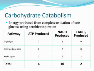 Carbohydrate Catabolism
  Energy produced from complete oxidation of one
    glucose using aerobic respiration

   Pathway          ATP Produced      NADH      FADH2
                                    Produced   Produced
Glycolysis               2              2           0


Intermediate step        0              2           0


Krebs cycle              2              6           2


Total                    4              10          2
 