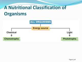 A Nutritional Classification of
Organisms




                                  Figure 5.28
 