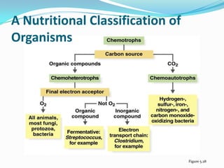 A Nutritional Classification of
Organisms




                                  Figure 5.28
 
