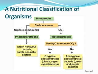A Nutritional Classification of
Organisms




                                  Figure 5.28
 