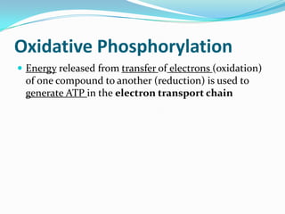 Oxidative Phosphorylation
 Energy released from transfer of electrons (oxidation)
 of one compound to another (reduction) is used to
 generate ATP in the electron transport chain
 