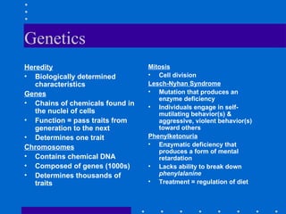 Genetics Heredity Biologically determined characteristics Genes Chains of chemicals found in the nuclei of cells Function = pass traits from generation to the next Determines one trait Chromosomes Contains chemical DNA Composed of genes (1000s) Determines thousands of traits Mitosis Cell division Lesch-Nyhan Syndrome Mutation that produces an enzyme deficiency Individuals engage in self-mutilating behavior(s) & aggressive, violent behavior(s) toward others Phenylketonuria Enzymatic deficiency that produces a form of mental retardation Lacks ability to break down  phenylalanine Treatment = regulation of diet 