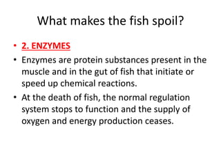 What makes the fish spoil?
• 2. ENZYMES
• Enzymes are protein substances present in the
muscle and in the gut of fish that initiate or
speed up chemical reactions.
• At the death of fish, the normal regulation
system stops to function and the supply of
oxygen and energy production ceases.
 