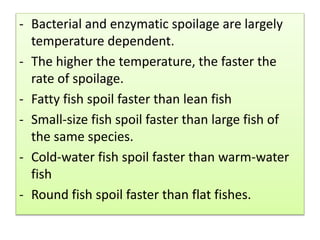 - Bacterial and enzymatic spoilage are largely
temperature dependent.
- The higher the temperature, the faster the
rate of spoilage.
- Fatty fish spoil faster than lean fish
- Small-size fish spoil faster than large fish of
the same species.
- Cold-water fish spoil faster than warm-water
fish
- Round fish spoil faster than flat fishes.
 