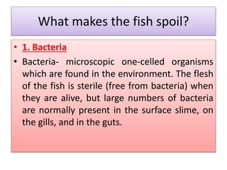 What makes the fish spoil?
• 1. Bacteria
• Bacteria- microscopic one-celled organisms
which are found in the environment. The flesh
of the fish is sterile (free from bacteria) when
they are alive, but large numbers of bacteria
are normally present in the surface slime, on
the gills, and in the guts.
 