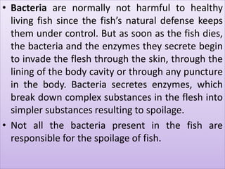 • Bacteria are normally not harmful to healthy
living fish since the fish’s natural defense keeps
them under control. But as soon as the fish dies,
the bacteria and the enzymes they secrete begin
to invade the flesh through the skin, through the
lining of the body cavity or through any puncture
in the body. Bacteria secretes enzymes, which
break down complex substances in the flesh into
simpler substances resulting to spoilage.
• Not all the bacteria present in the fish are
responsible for the spoilage of fish.
 