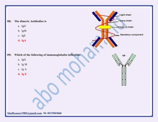 Shaffeenasr1985@gmail.com M: 0533903068
88) The dimeric Antibodies is
a. IgG
b. IgM
c. IgE
d. IgA
89) Which of the following of immunoglobulin inflexible:
a. IgG
b. Ig M
c. Ig A
d. Ig E
 
