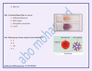 Shaffeenasr1985@gmail.com M: 0533903068
d. Blast cell
148) In Stained Blood Film we can see
a. Differential Blood cell
b. RBCs shaped
c. Hemoglobin concentration
d. A & B
149) Blood group contain antigen B and antibodies A
a. A
b. B
c. AB
d. 0
 