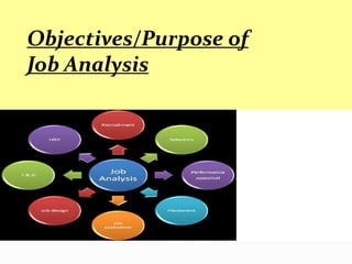 Objectives/Purpose of
Job Analysis
 