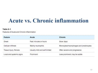 inflammation | PPTX