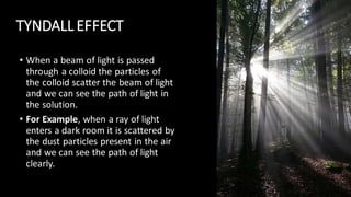 • When a beam of light is passed
through a colloid the particles of
the colloid scatter the beam of light
and we can see the path of light in
the solution.
• For Example, when a ray of light
enters a dark room it is scattered by
the dust particles present in the air
and we can see the path of light
clearly.
TYNDALL EFFECT
 