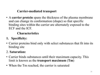 Carrier-mediated transport
• A carrier protein spans the thickness of the plasma membrane
and can change its conformation (shape) so that specific
binding sites within the carrier are alternately exposed to the
ECF and the ICF.
Characteristics
1. Specificity:
• Carrier proteins bind only with select substances that fit into its
binding site
2. Saturation:
• Carrier binds substances until their maximum capacity. This
limit is known as the transport maximum (Tm)
• When the Tm reached, the carrier is saturated
18
 