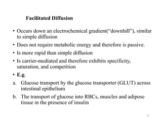Facilitated Diffusion
• Occurs down an electrochemical gradient(“downhill”), similar
to simple diffusion
• Does not require metabolic energy and therefore is passive.
• Is more rapid than simple diffusion
• Is carrier-mediated and therefore exhibits specificity,
saturation, and competition
• E.g.
a. Glucose transport by the glucose transporter (GLUT) across
intestinal epithelium
b. The transport of glucose into RBCs, muscles and adipose
tissue in the presence of insulin
21
 
