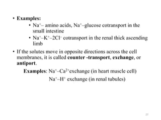 • Examples:
• Na+– amino acids, Na+–glucose cotransport in the
small intestine
• Na+–K+–2Cl– cotransport in the renal thick ascending
limb
• If the solutes move in opposite directions across the cell
membranes, it is called counter -transport, exchange, or
antiport.
Examples: Na+–Ca2+exchange (in heart muscle cell)
Na+–H+ exchange (in renal tubules)
27
 