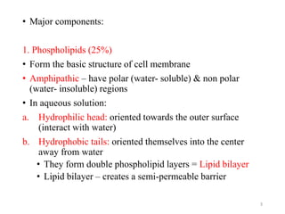 • Major components:
1. Phospholipids (25%)
• Form the basic structure of cell membrane
• Amphipathic – have polar (water- soluble) & non polar
(water- insoluble) regions
• In aqueous solution:
a. Hydrophilic head: oriented towards the outer surface
(interact with water)
b. Hydrophobic tails: oriented themselves into the center
away from water
• They form double phospholipid layers = Lipid bilayer
• Lipid bilayer – creates a semi-permeable barrier
3
 