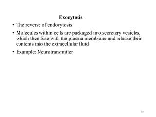 Exocytosis
• The reverse of endocytosis
• Molecules within cells are packaged into secretory vesicles,
which then fuse with the plasma membrane and release their
contents into the extracellular fluid
• Example: Neurotransmitter
34
 
